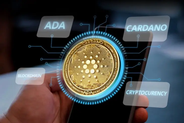 Risiko Investasi Cardano: 3 Tantangan Utama yang Harus Diwaspadai